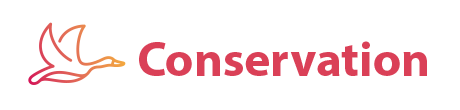 Conservation